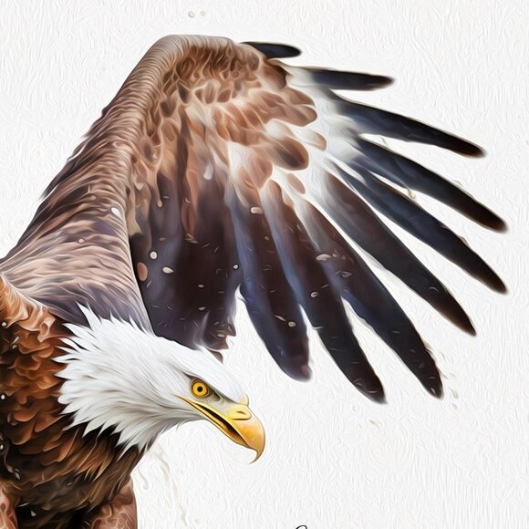 4x6 Soaring Bald Eagle‎ Ocean Watercolor Oil Painting Art Print - Picture 6 of 8